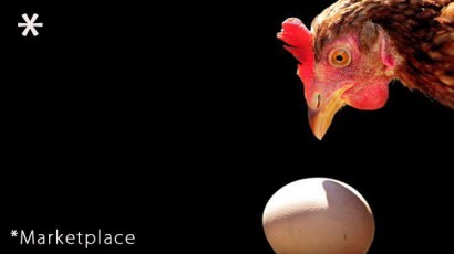 chicken_egg